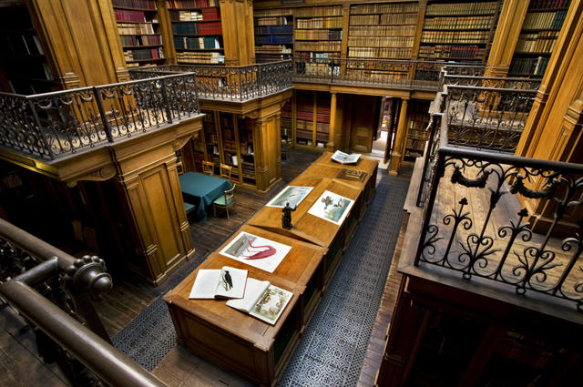Фото: Teylers Museum / Wikimedia Commons / CC-BY-SA-3.0-NL Teylers museum