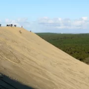 Дюна Пила