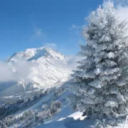 Вид на Монблан