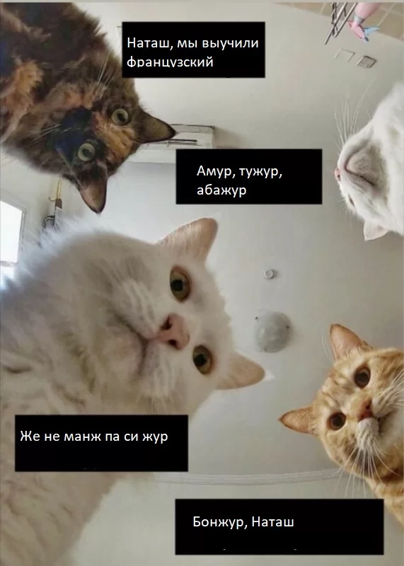 Наташ