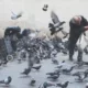 10 проблем Парижа, с которыми иногда сталкиваются туристы
