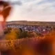Рошем