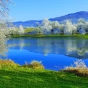 Утренняя изморозь во Франции