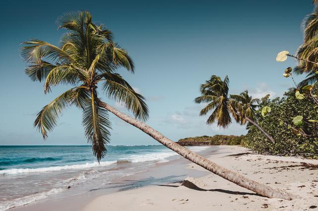 Daniel Oberg / Unsplash Заморские территории Франции: Мартиника