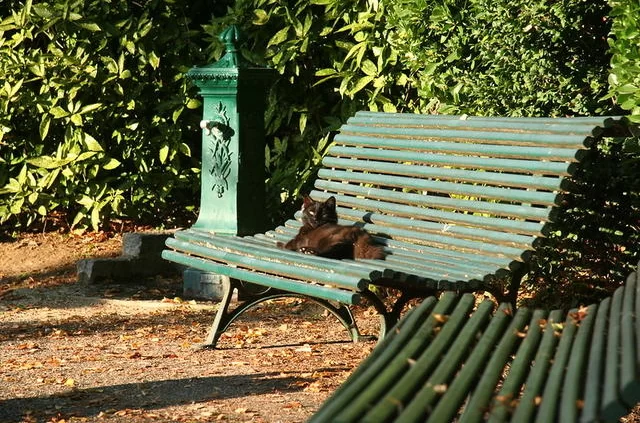 Лавочки в Булонском лесу