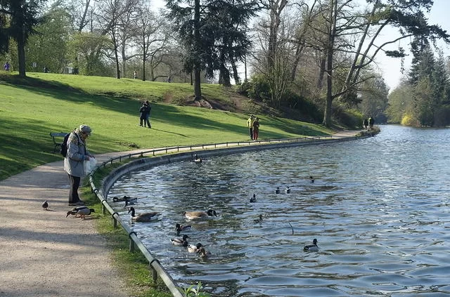 Уточки в Булонском лесу