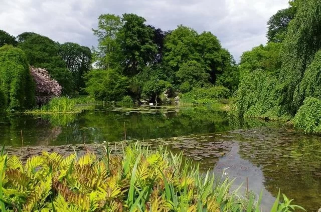 Булонский лес