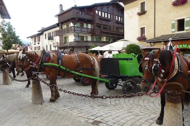 Конная упряжка