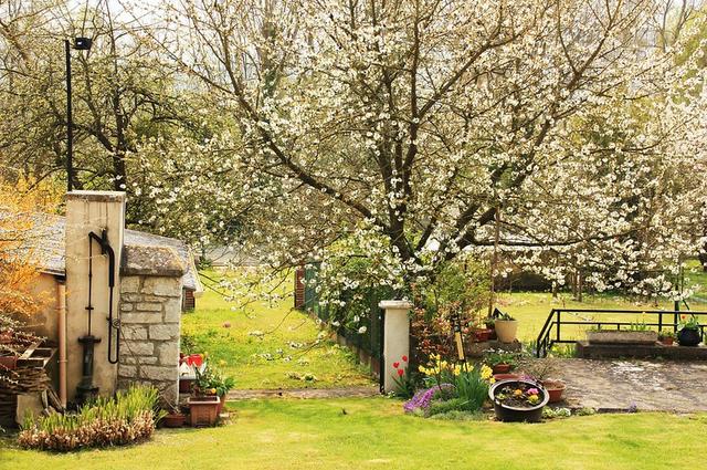 Сад Моне в Живерни весной