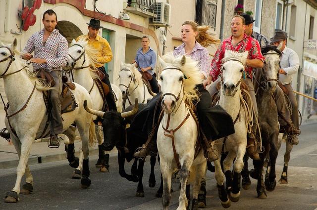 Конная прогулка