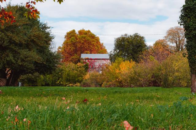 Ботанический сад