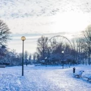 Париж в январе