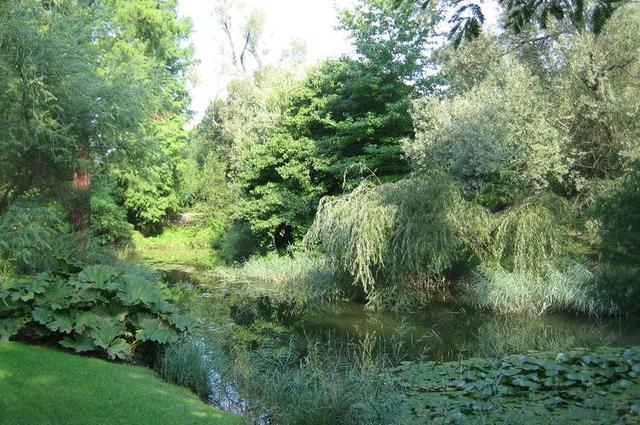 Ботанический сад