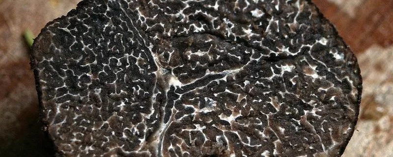 Где попробовать трюфели в Париже?