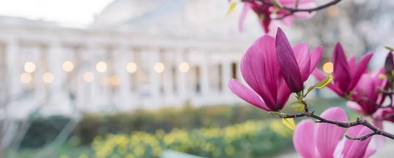 Май в Париже