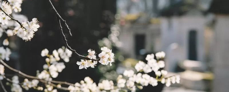 Весна в Париже