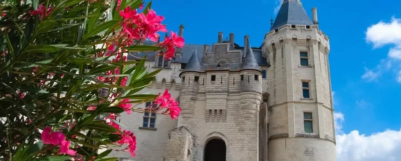 Шато де Сомюр