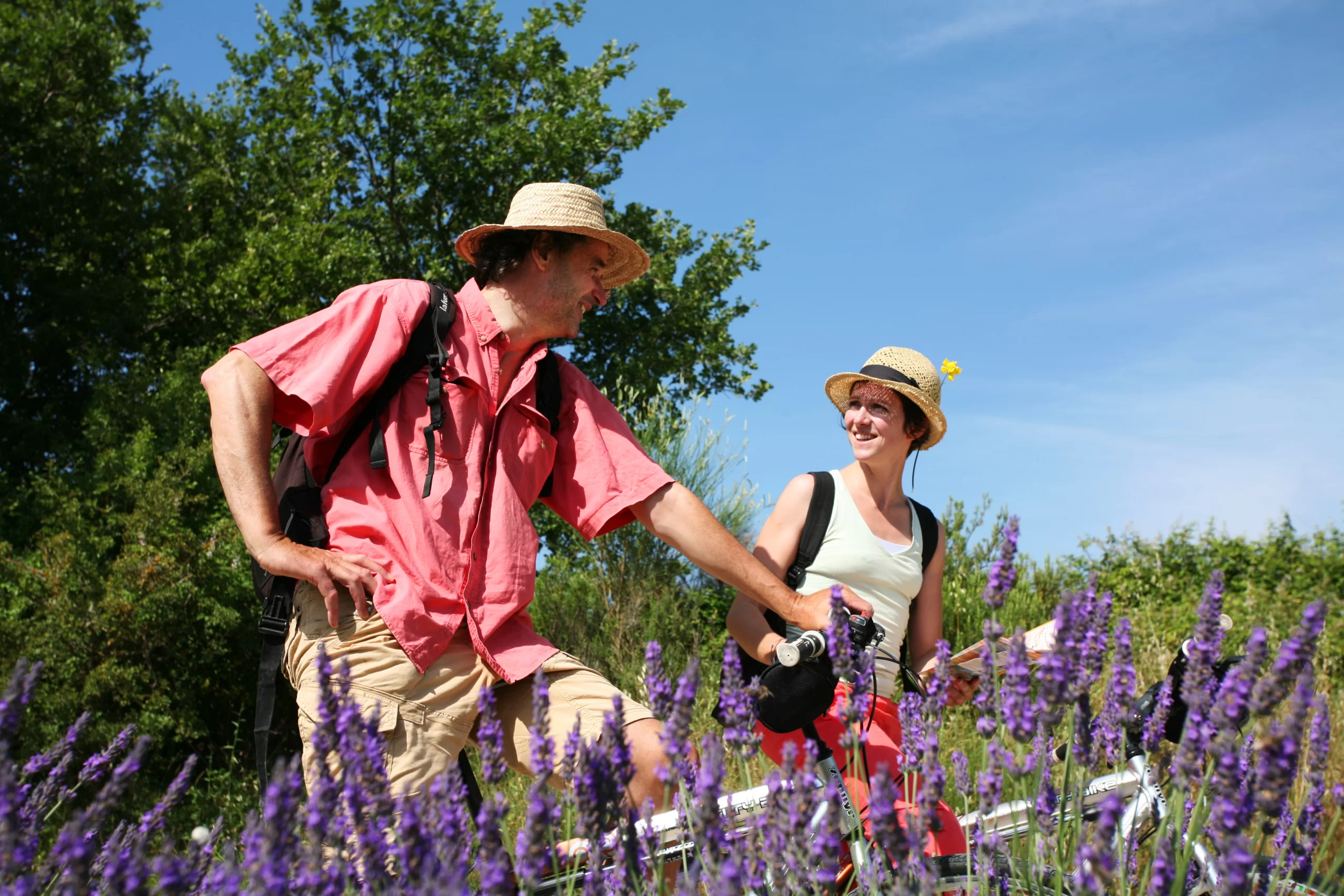 Велосипедные прогулки