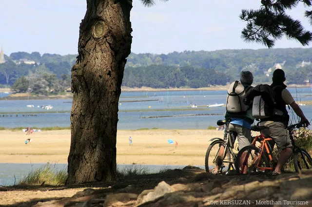 Велопрогулки