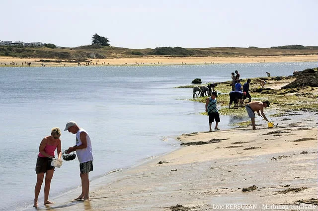 Рыбалка с корзинкой