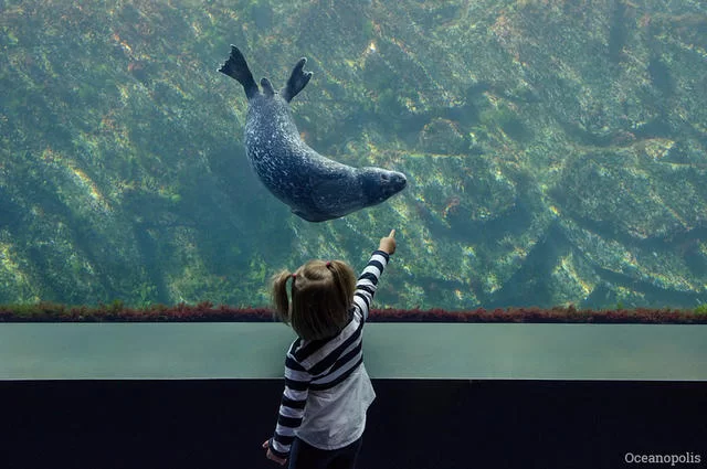 Океанополис