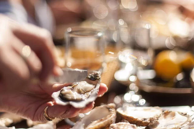 Устрицы