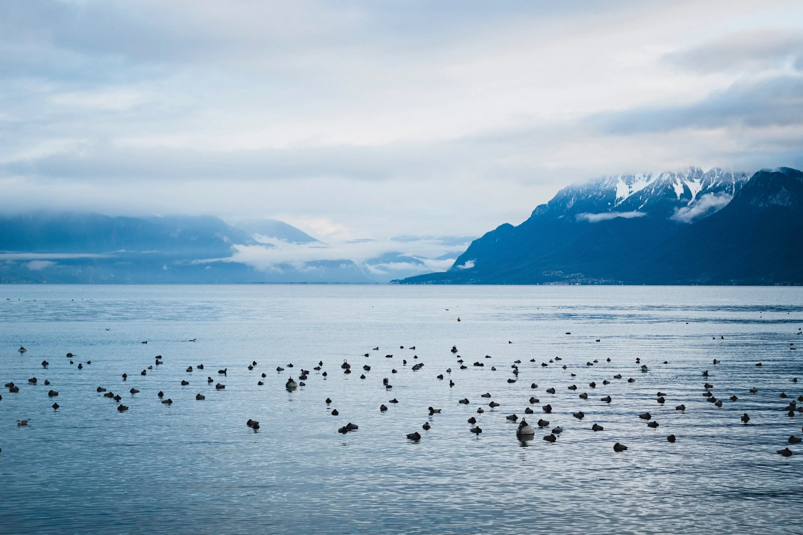 Женевское озеро