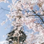 Париж в апреле