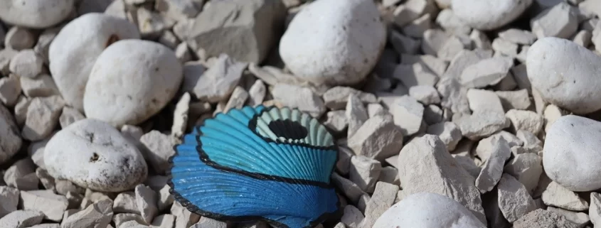 Ракушки и галька