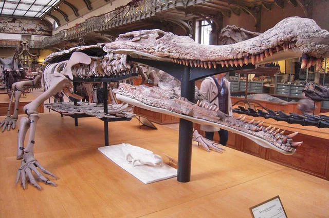 Ископаемое