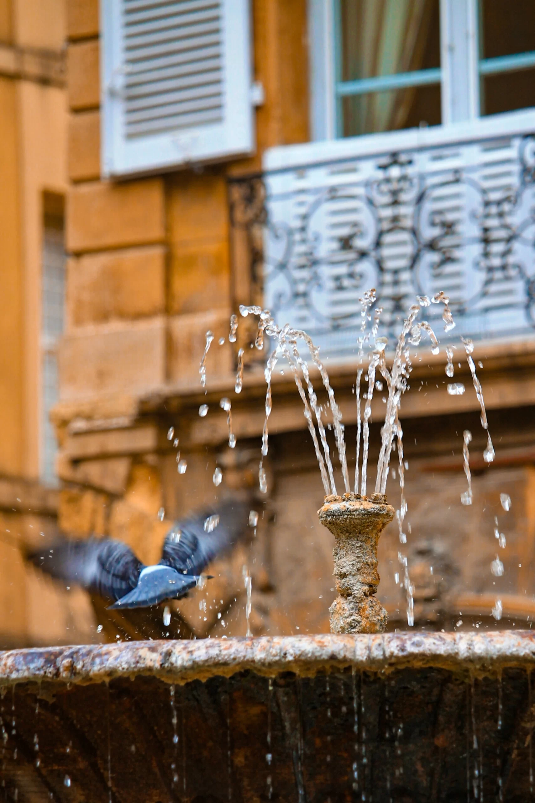 Фонтан Экс-ан-Прованса