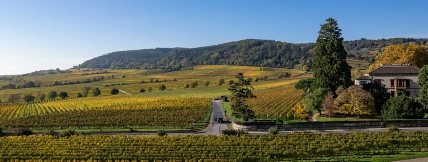 Рейнланд-Пфальц