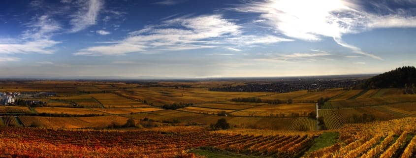 Рейнланд-Пфальц