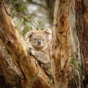 Что посетить в Австралии