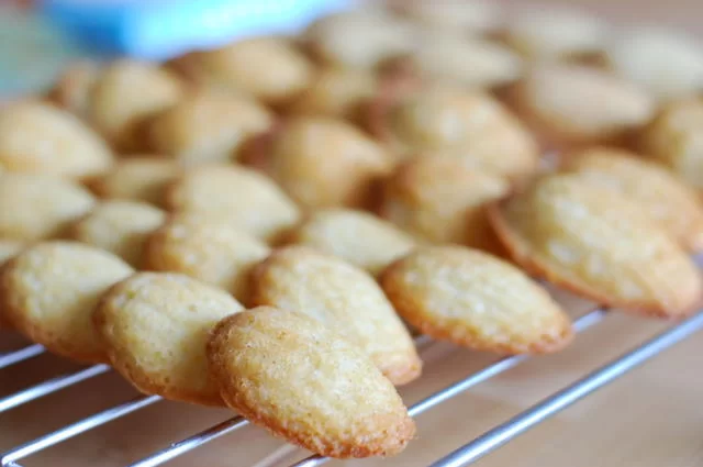 Merle ja Joonas / Flickr / CC-BY-ND 2.0 Мадлен