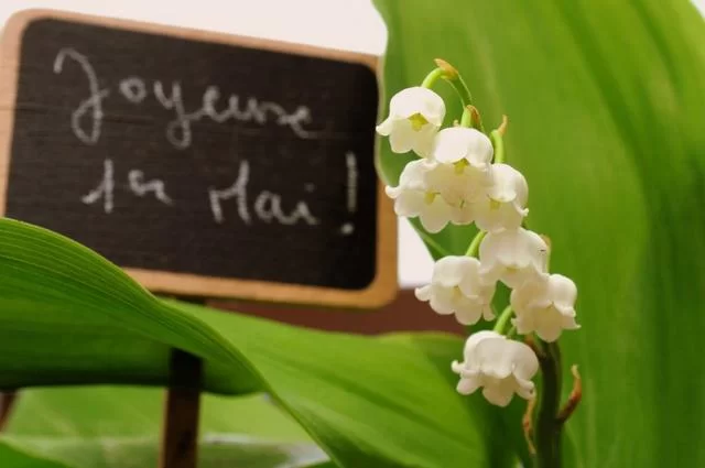 Ландыш Ландыши