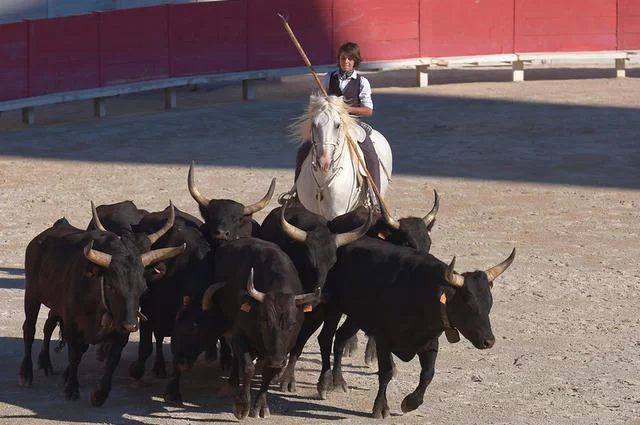 Ben / Flickr / CC-BY-ND 2.0 Коррида