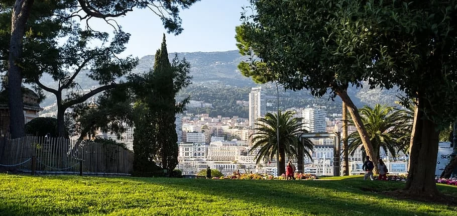 Вид со скалы