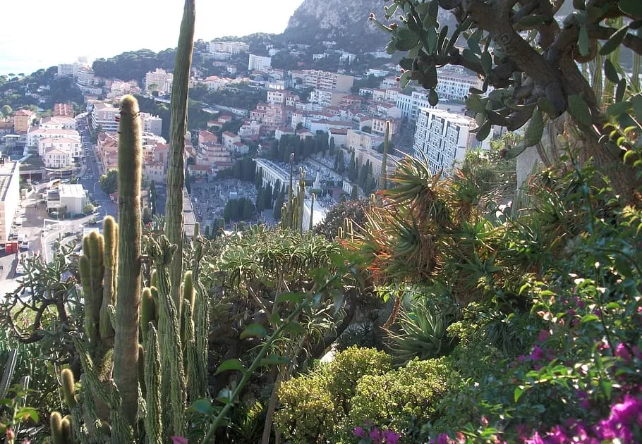 Экзотический сад