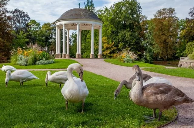 Philippe de Rexel © Copyright - OT Strasbourg Ботанический сад