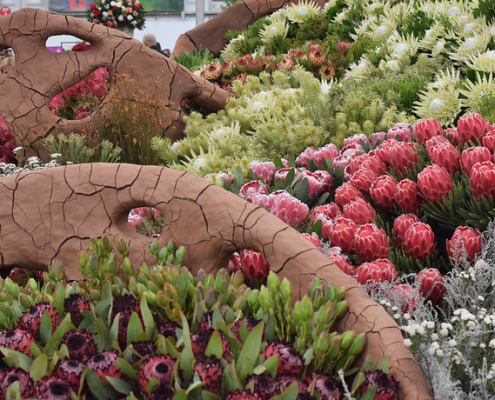 Фестиваль цветов в Челси