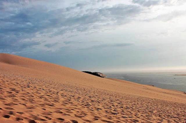 Pixabay Дюна Пила