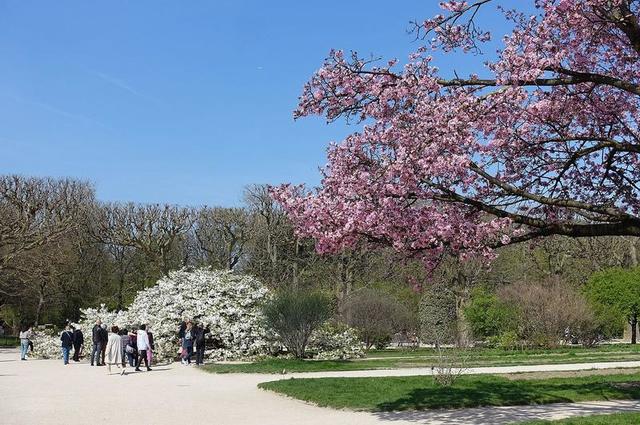 Guilhem Vellut / Attribution 2.0 Generic (CC BY 2.0) Ботанический сад