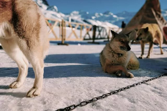 Hugo / Unsplash Валь-Торанс