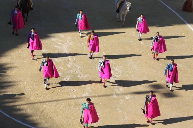 Pixabay Матадоры