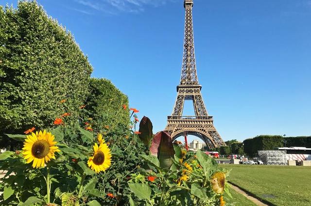 Jeremy Bezanger / Unsplash Эйфелева башня