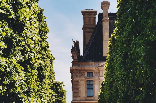 Pixabay В саду Тюильри