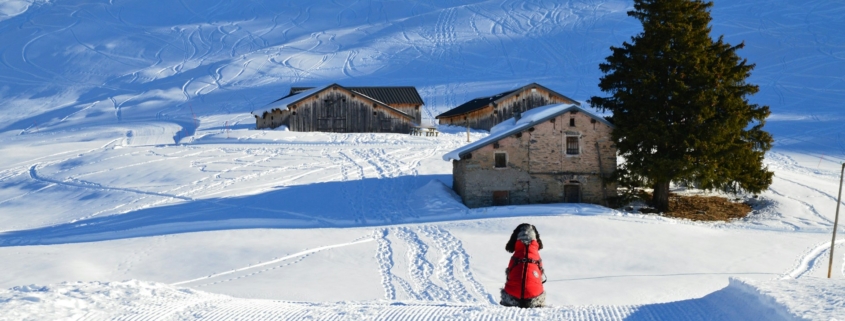 Куршевель 1850