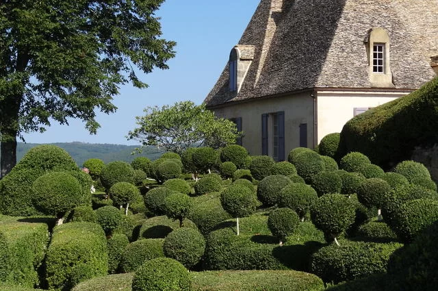 Везак Везак