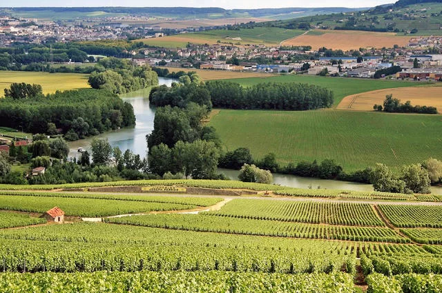 Rob & Lisa Meehan / Flickr / CC-BY-SA 2.0 Шампань